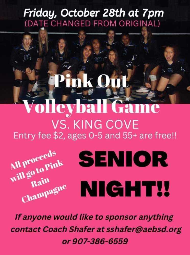 Pink-Volleyball-Senior