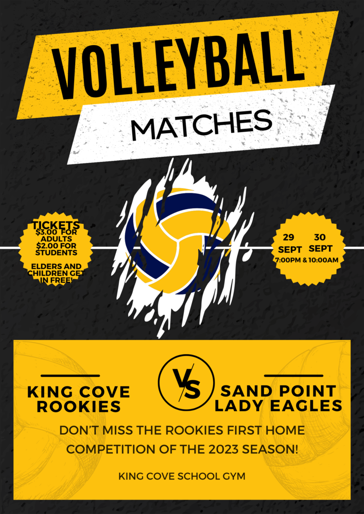 Volleyball Matches This Weekend!